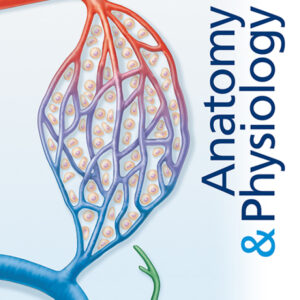 Anatomy & Physiology 7th Edition - Original PDF