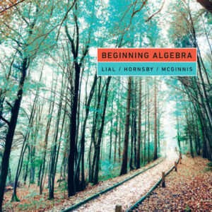 Beginning Algebra 13th Edition - Original PDF