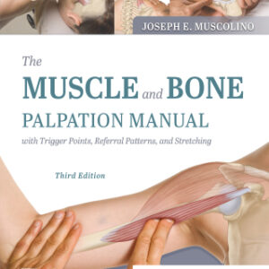 The Muscle and Bone Palpation Manual with Trigger Points, Referral Patterns and Stretching - E-Book 3rd Edition - Original PDF