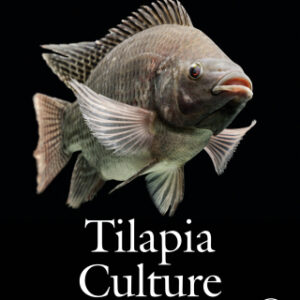 Tilapia Culture 2nd Edition - Original PDF