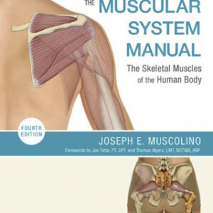 The Muscular System Manual: The Skeletal Muscles of the Human Body 4th Edition - Original PDF