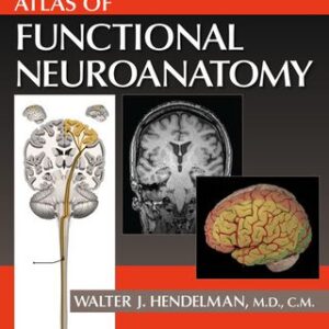 Atlas of Functional Neuroanatomy 3rd Edition - Original PDF