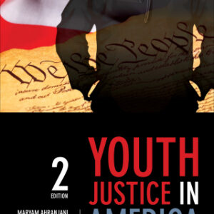 Youth Justice in America 2nd Edition - Original PDF