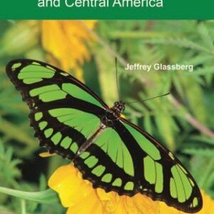 A Swift Guide to Butterflies of Mexico and Central America, 2nd Edition - Original PDF