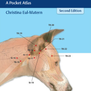 Acupuncture for Dogs and Cats: A Pocket Atlas 2nd Edition - Original PDF